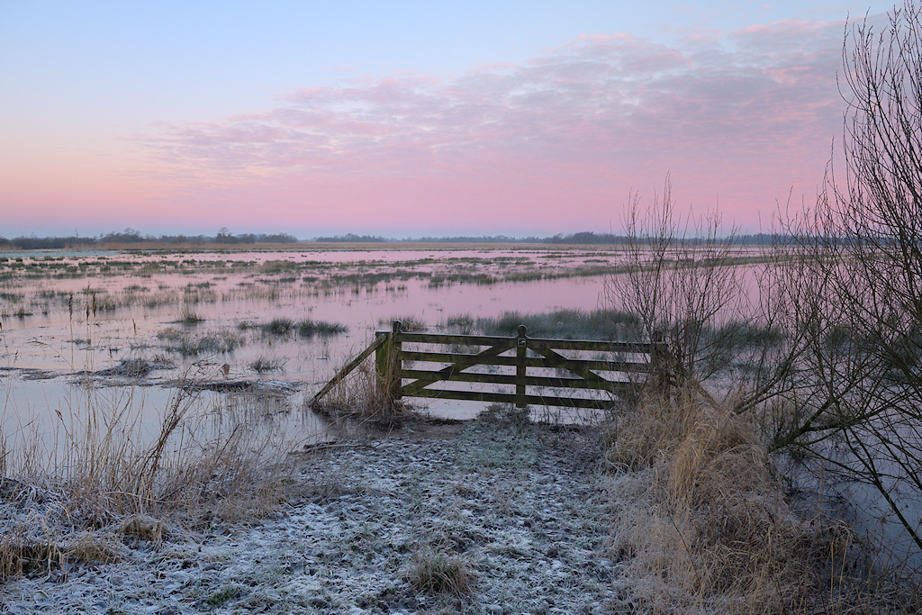 In de winter staat het grasland van de Headamskampen onder water