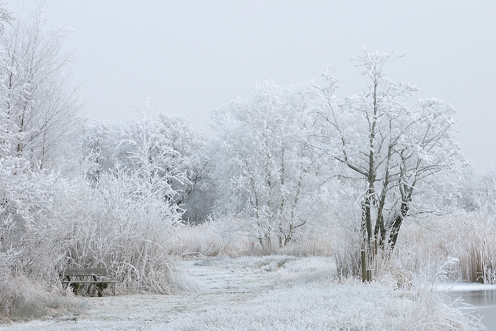 Het berijpte landschap van It Wikelsl�n