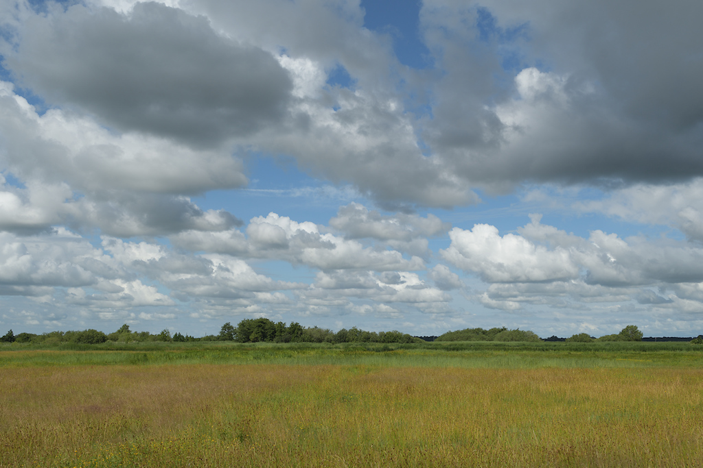 Bergumermeer, zomerpolders en hooilanden