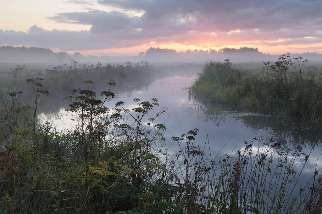 Het riviertje de Boorne in de Hemrikkerscharren
