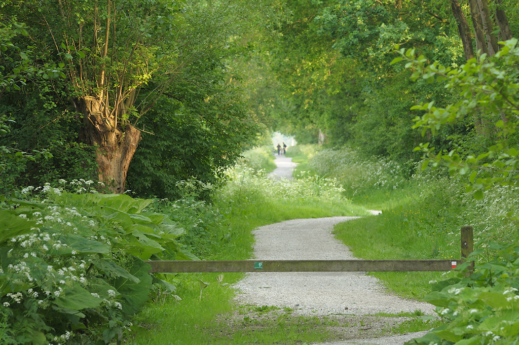Lange strokenverkaveling is het gevolg van het Recht van Opstrek