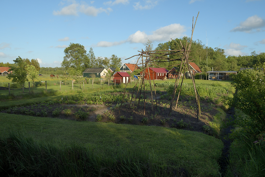 Moestuin in het landelijke gebied van Damw�ld