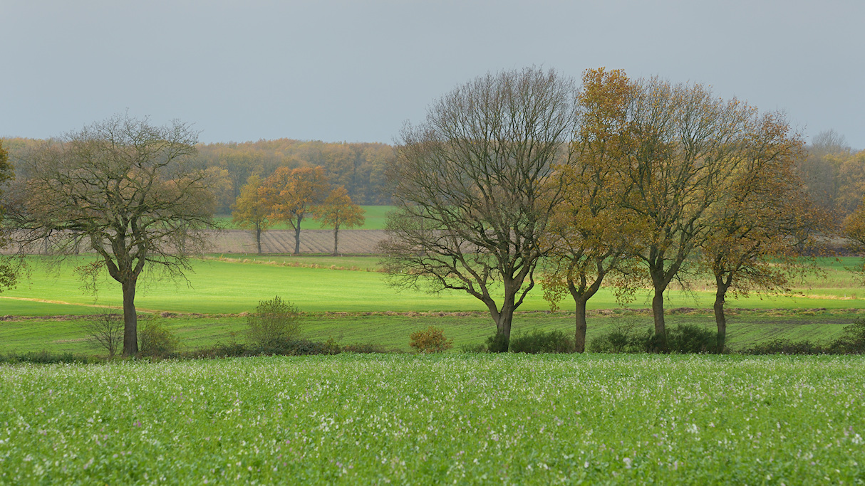 Doorbraakdal bij Borger