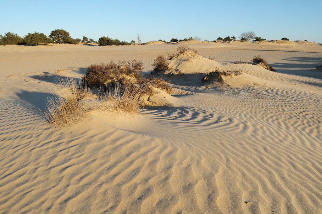 Ribbels in het Stuifzand