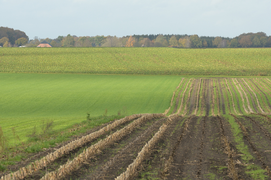 Droogdal tussen Buinen en Exloo