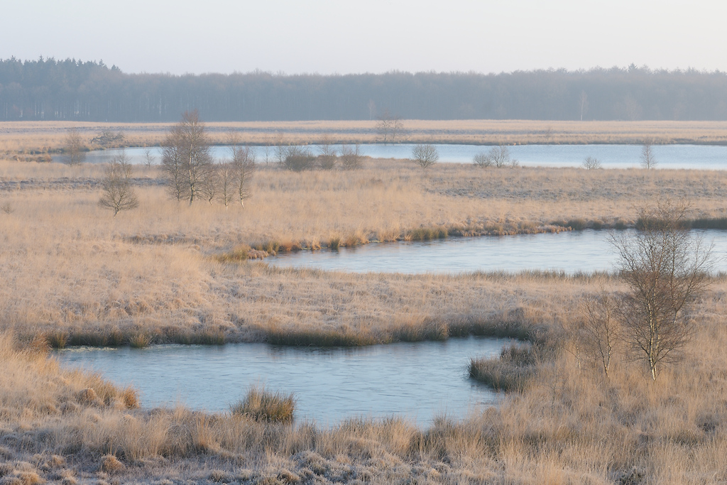 Duurswouderheide met Pingoru�nes in de winter