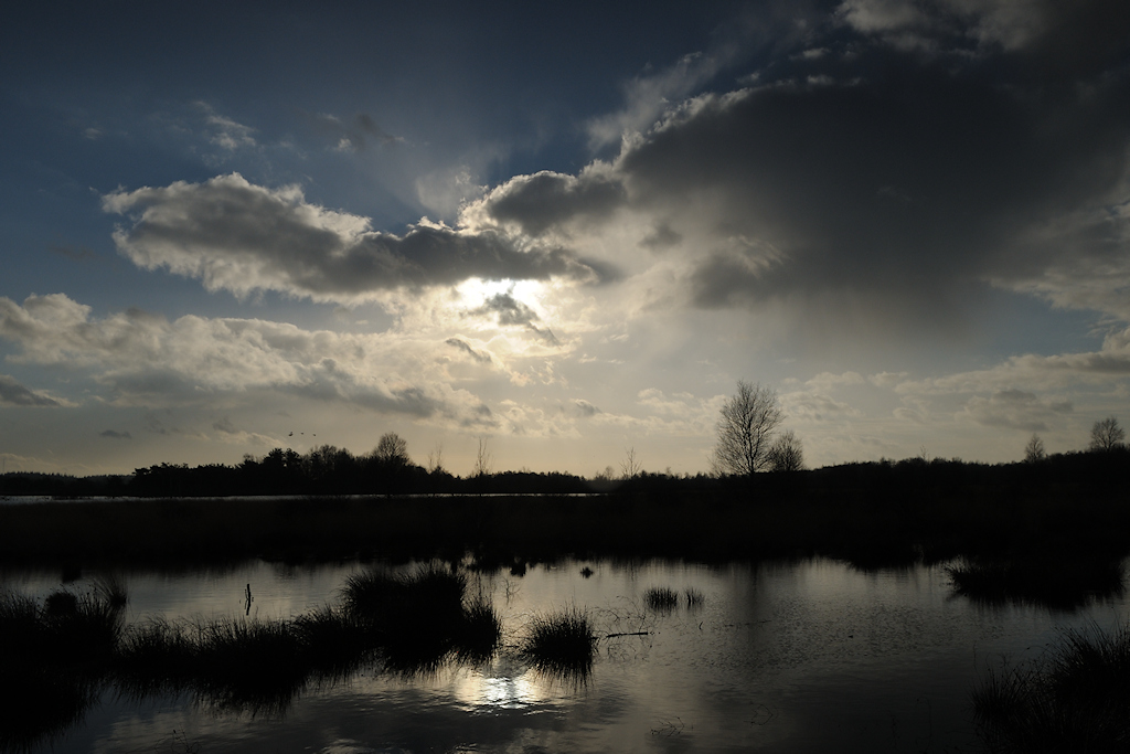 Het Fochtelo�rveen, hydrologische situatie