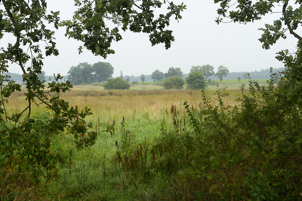 Beekdal van het Gasterensche Diep