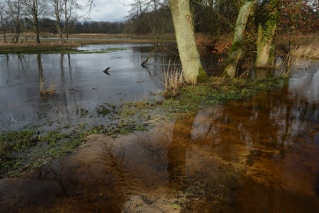 Overstroomd pad tijdens hoge waterstand