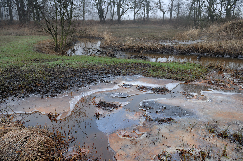 IJzerhoudend kwelwater in het dal van de Drentsche Aa