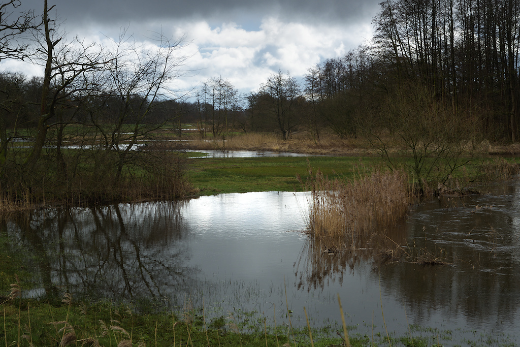 Het licht weerspiegeld in meanders van het Gasterensche Diep