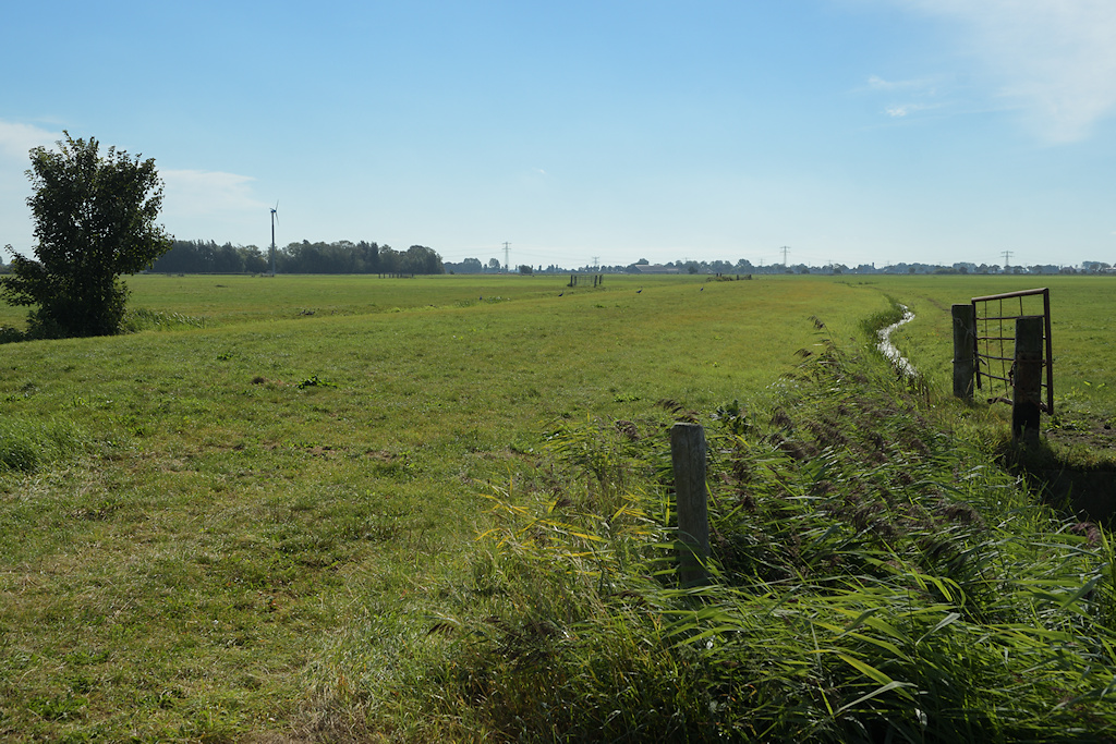 Gersdam bij Bears