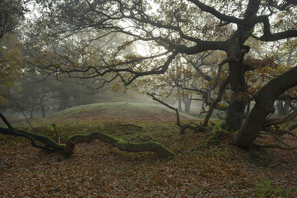 Grafheuvel, Strubben-Kniphorstbosch