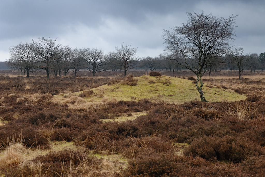 Grafheuvel op het Noordsche veld