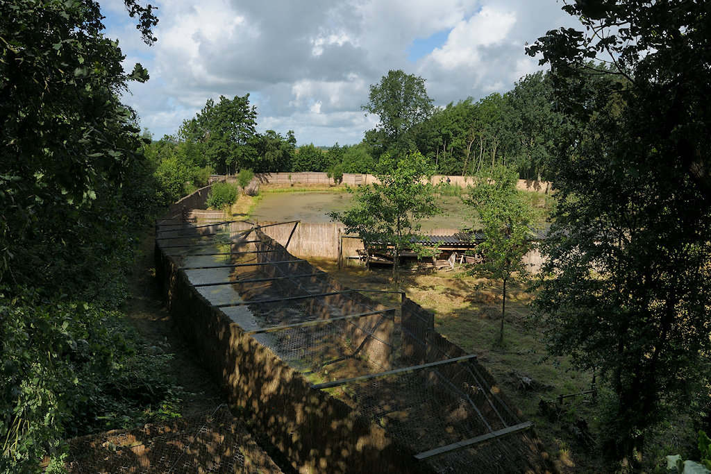 Buismans Eendenkooi