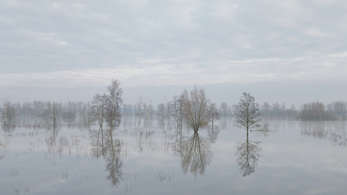 Hoogwater in de uiterwaarden bij Hattem