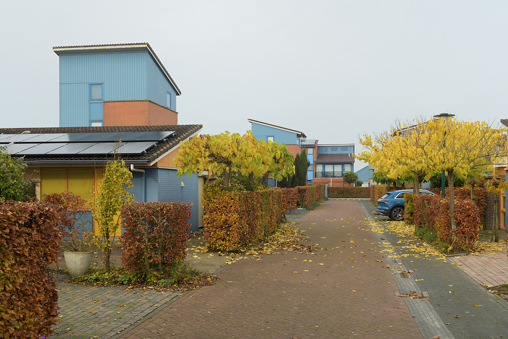 Gouden Boaijum, Heech