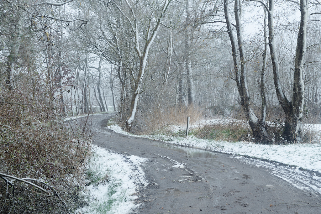 De Borstlaan in de winter