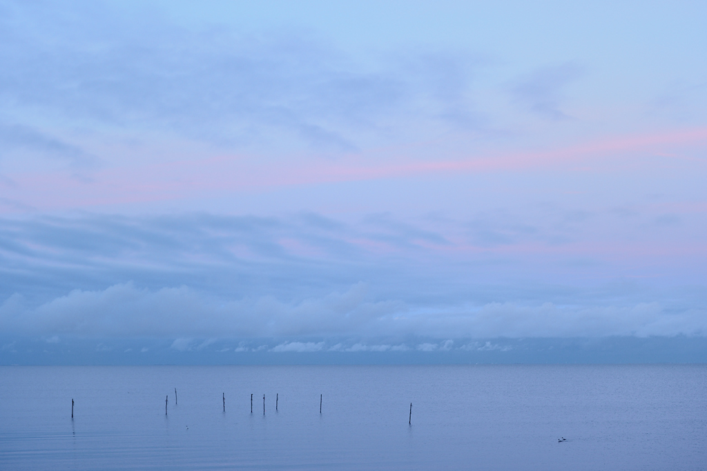 IJsselmeer, Palingfuiken bij de Afsluitdijk