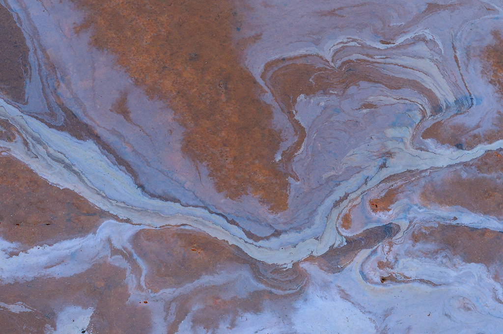 IJzerbacteri�n vormen een iriserend vlies op Kwelwater