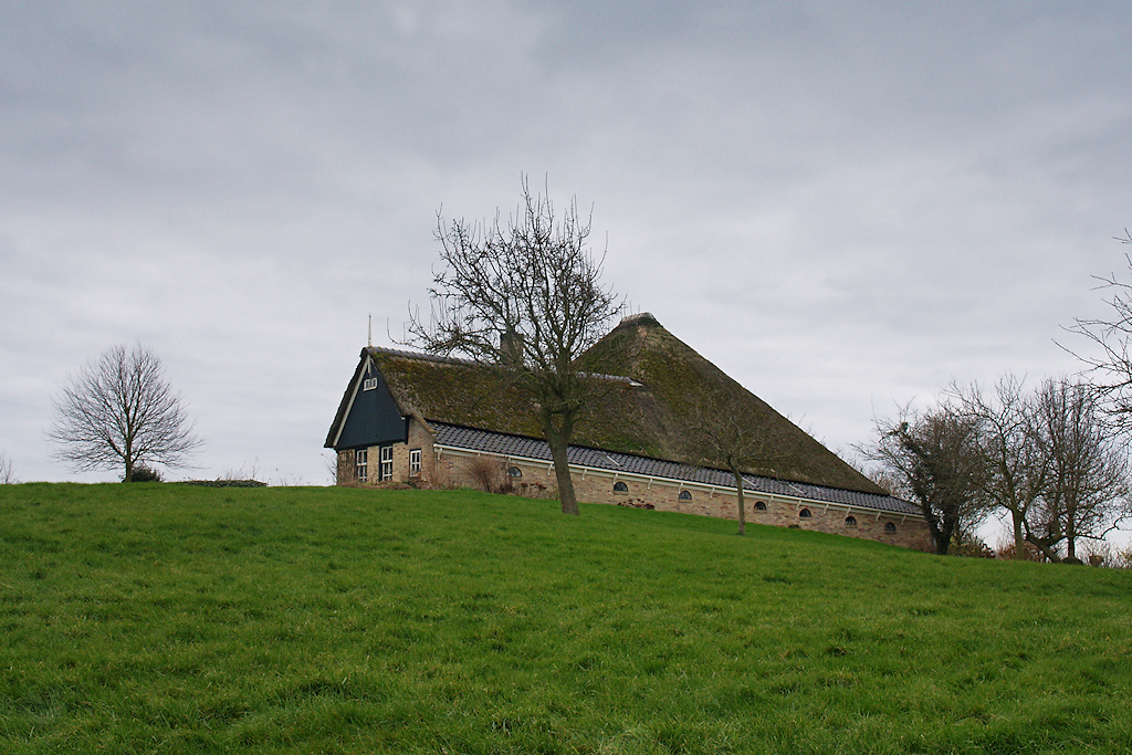 Langhuisstolp op de terp Avendorp bij Schagen