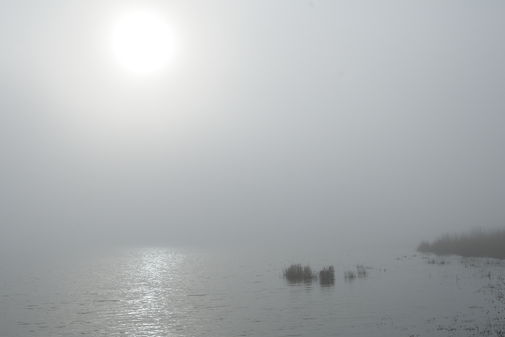 Lauwersmeer, mistig Ezumakeeg