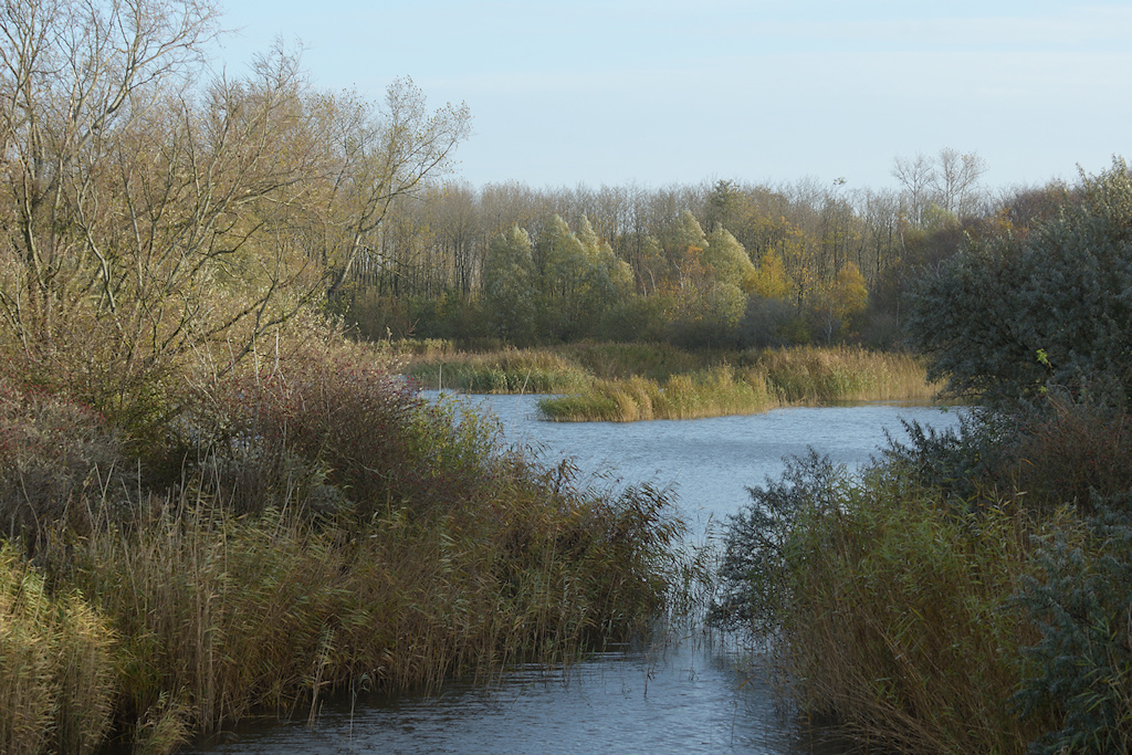 Lauwersmeer, plasje bij Suyderoogh
