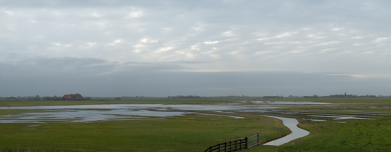 Lionserpolder, Hesensermeer