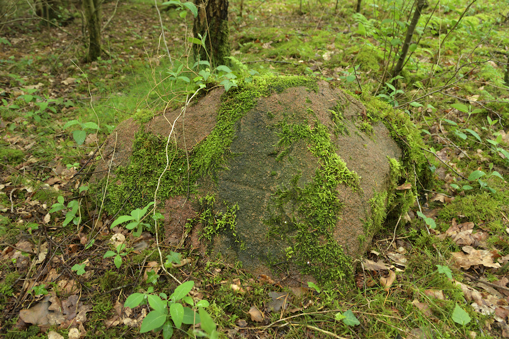 Markesteen in het grensgebied tussen Anloo en Eext