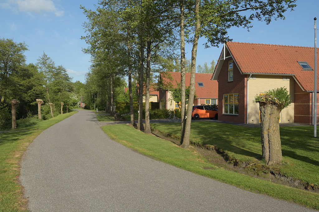 Moderne woudhuizen met krimp