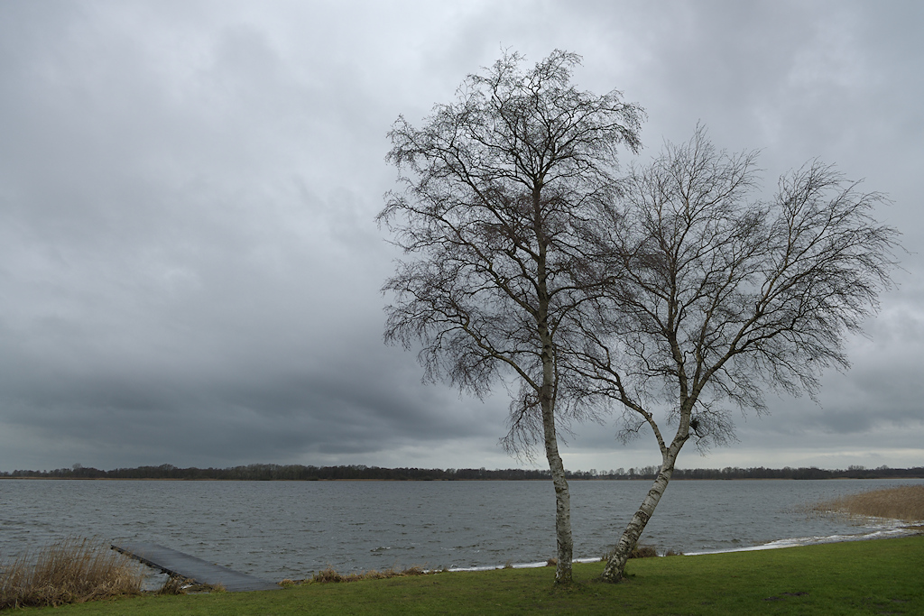 Nannewiid, Grote Sint Johannesgasterveenpolder