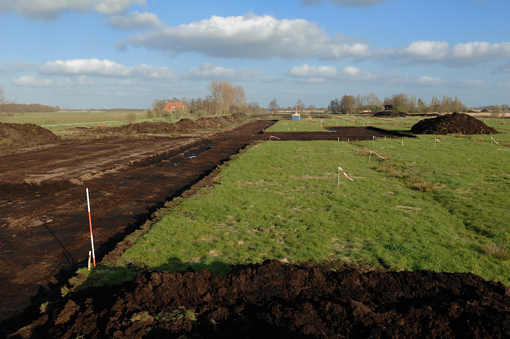 Natuurontwikkeling in de Alde Feanen