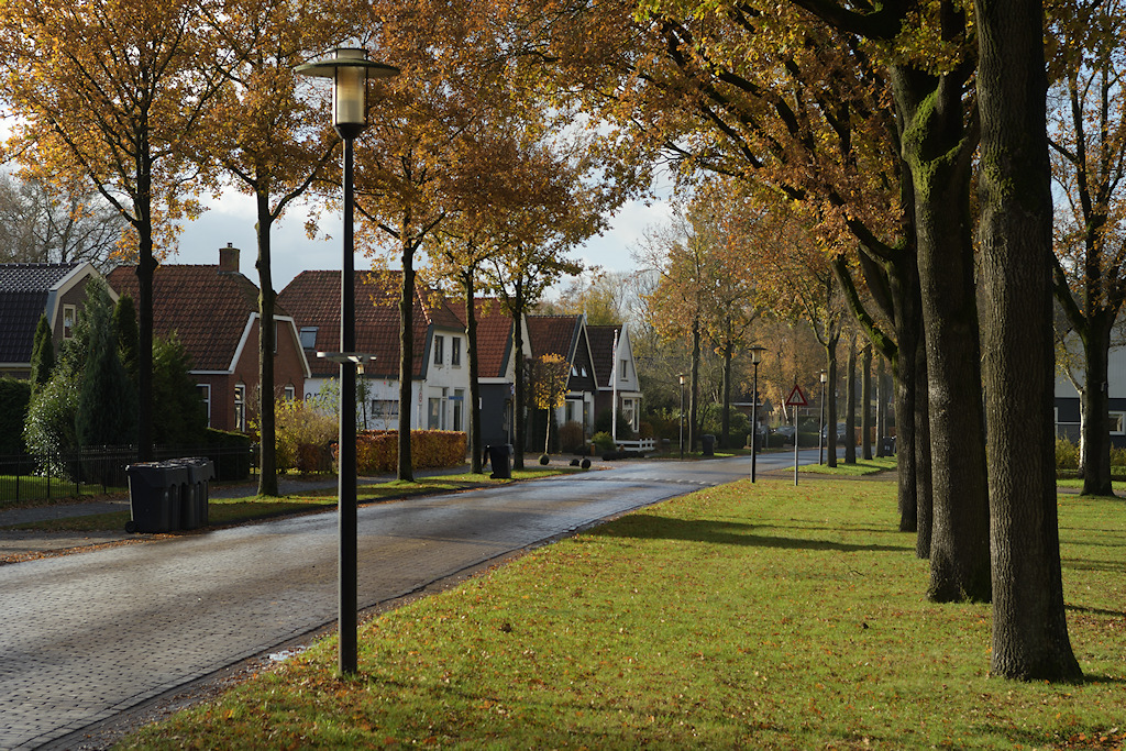Nieuwehorne, Schoterlandseweg