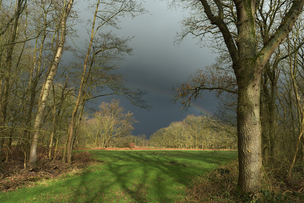 Donkere regenlucht boven Oudemolen