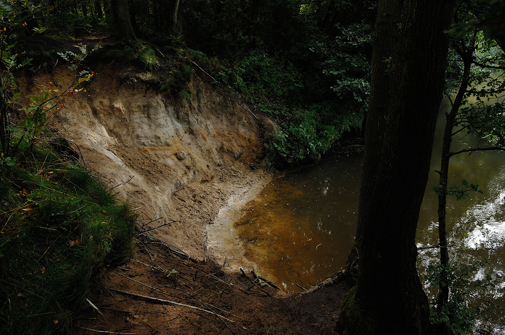 Afslag aan de oeverwal van het Oudemolense Diep