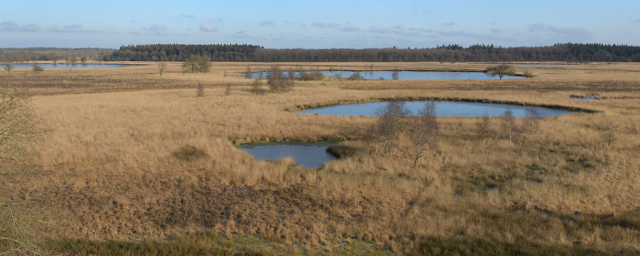 Pingoru�nes zijn ontstaan in permafrost tijdens het Weichselien