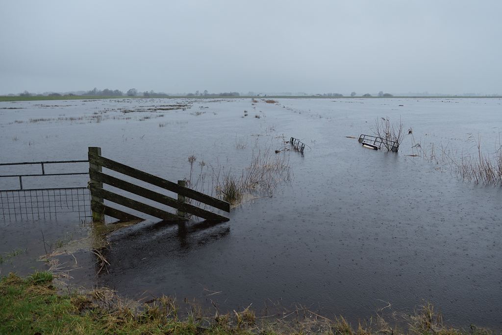 Retentiepolder bij Smalle Ee