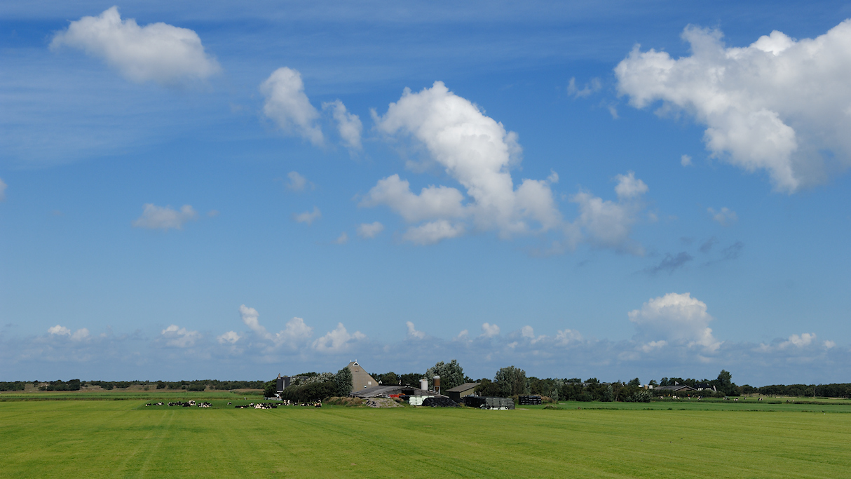 Schiermonnikoog, Banckspolder