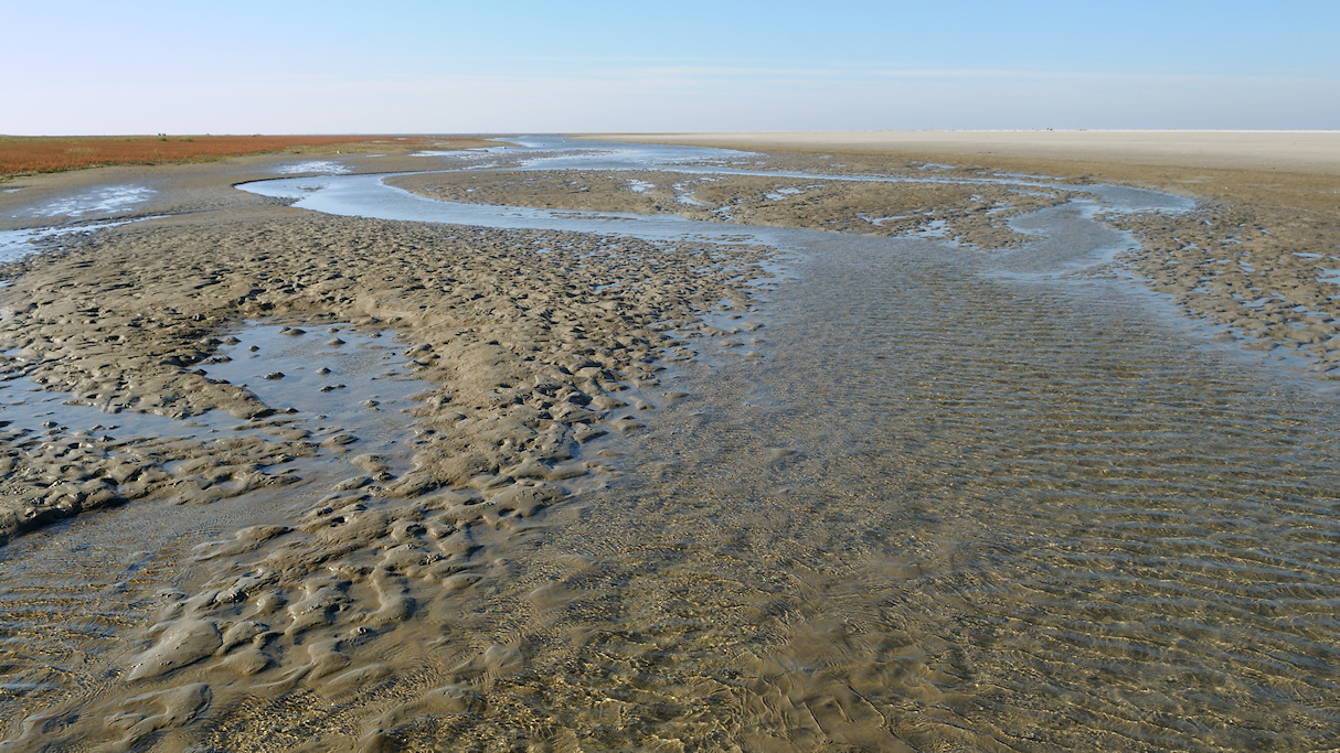 Schiermonnikoog, het Groene Strand