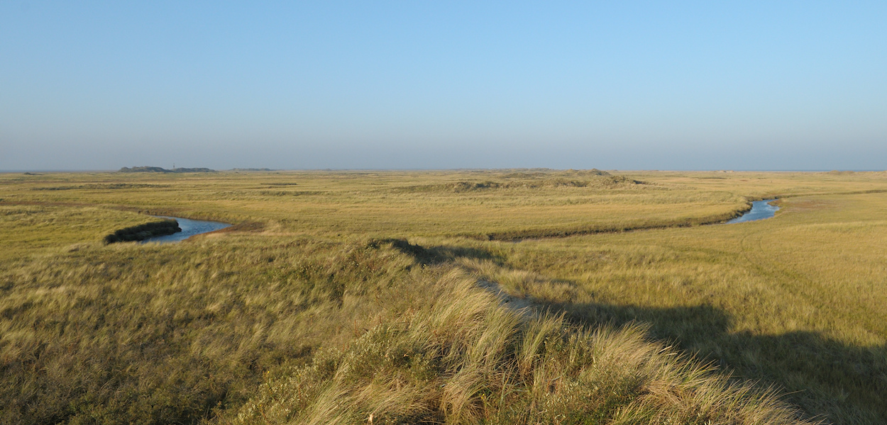 Schiermonnikoog, slenk en duinboog in de oostelijke kwelder