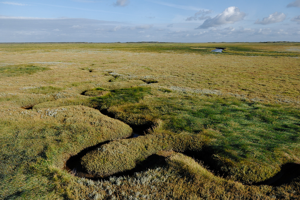 Schiermonnikoog, priel in de kwelder