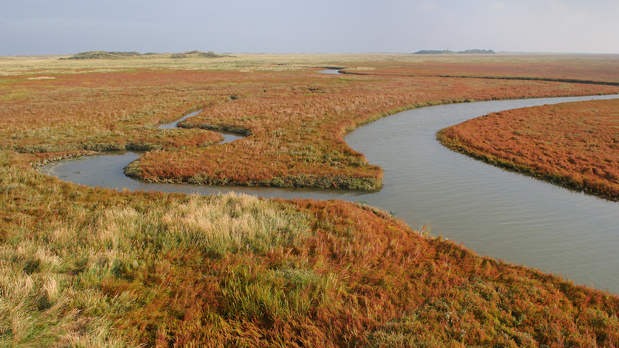 Geulen en Prielen in de kwelder van Schiermonnikoog