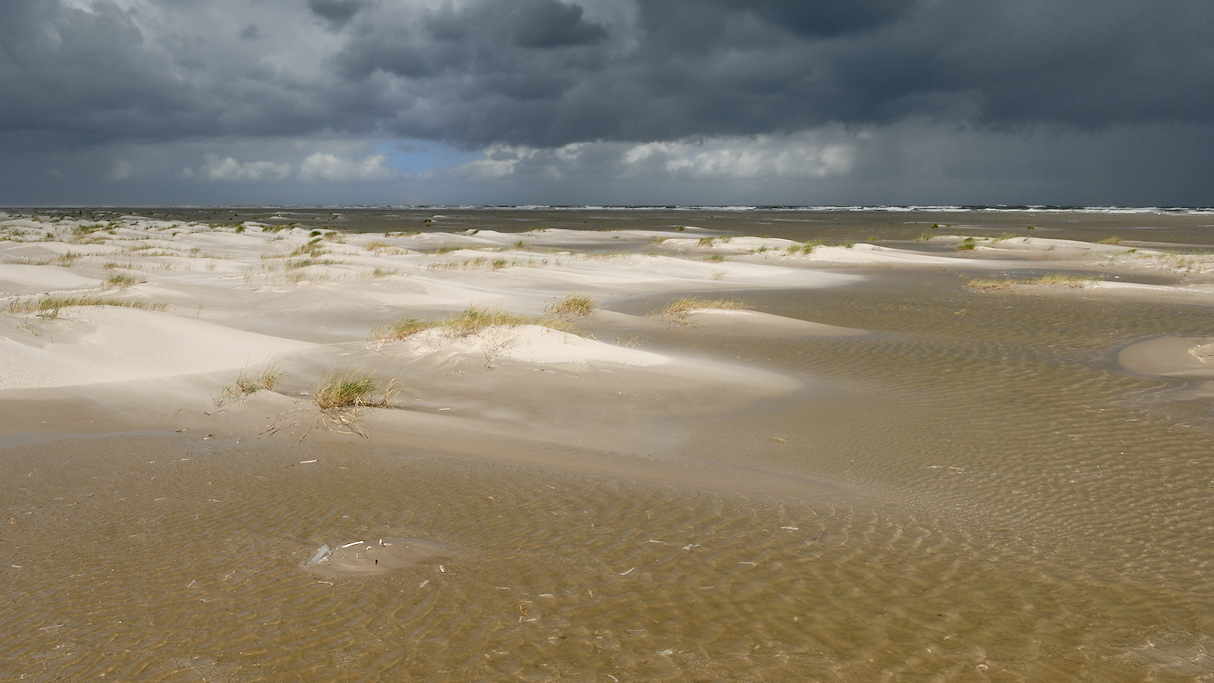 Schiermonnikoog, stuifduintjes bij stormvloed