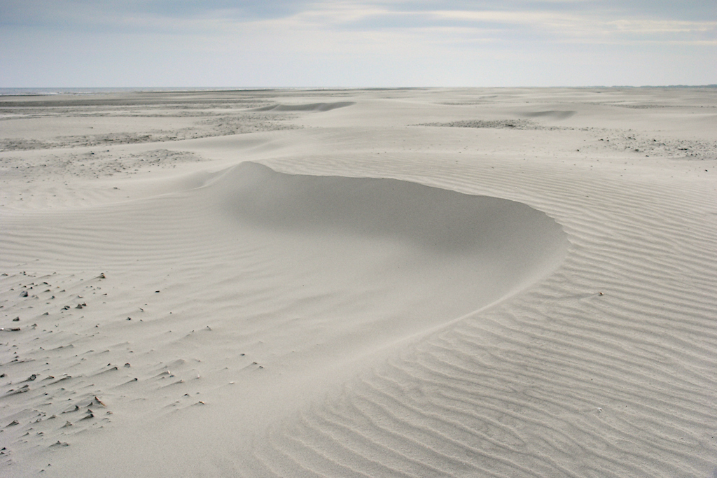 Sikkelduinen op het strand van Schiermonnikoog