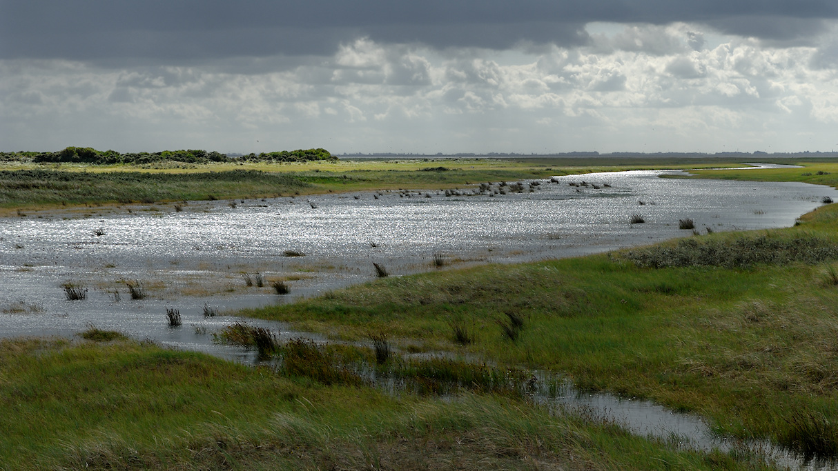Schiermonnikoog, wash-over van de 4e Slenk