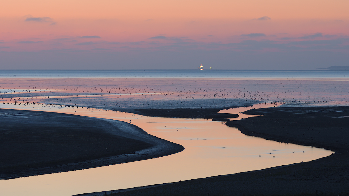 Een getijdengeul loopt vanuit de kwelder de Waddenzee op