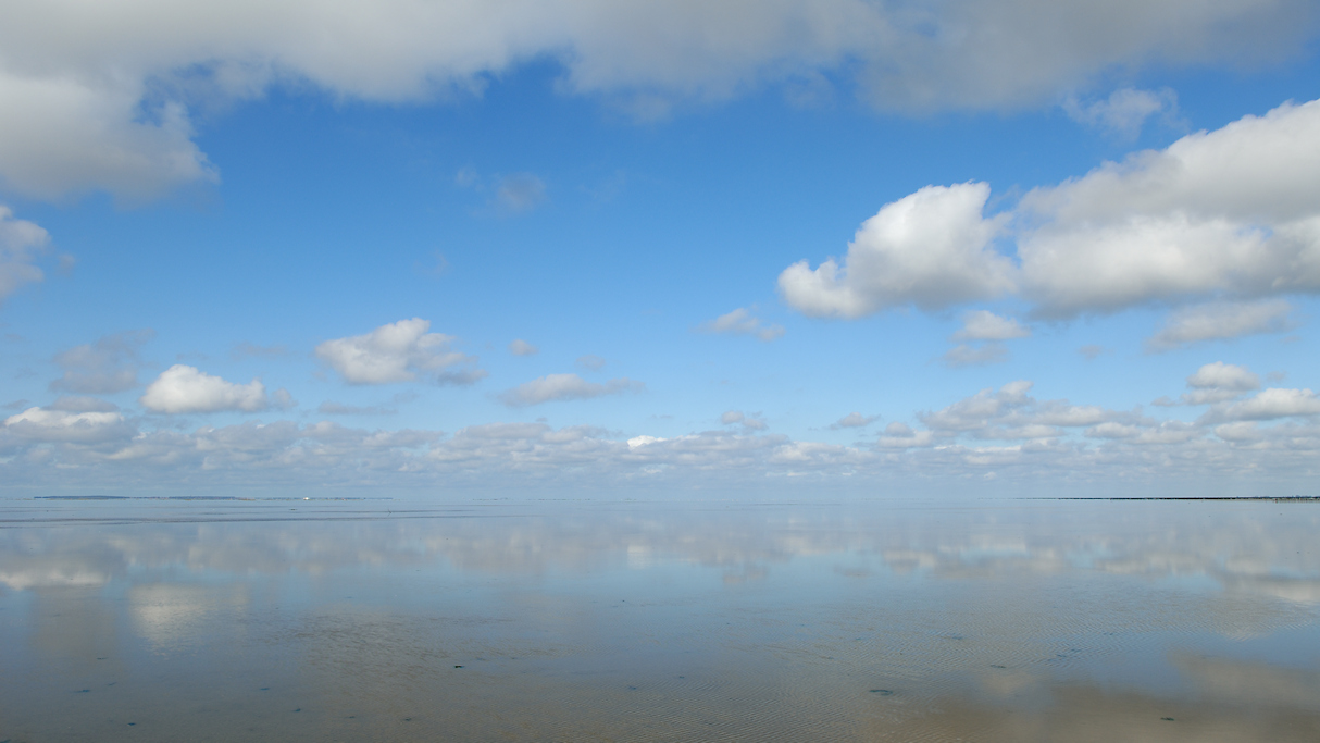 De Voorliggende Wadplaat van de Vastelandskwelder