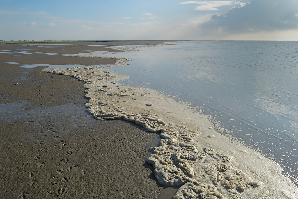 Het water komt op over het slik van de voorliggende wadplaat