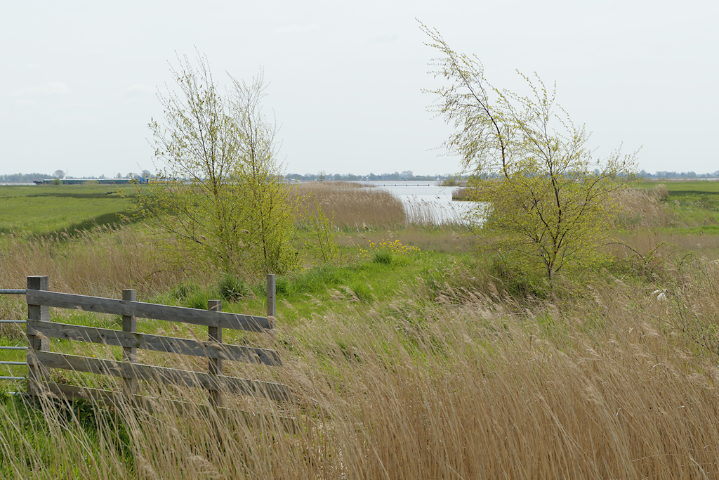 Aldsylroede door het Potschar gefotografeerd vanaf de Griene Dyk