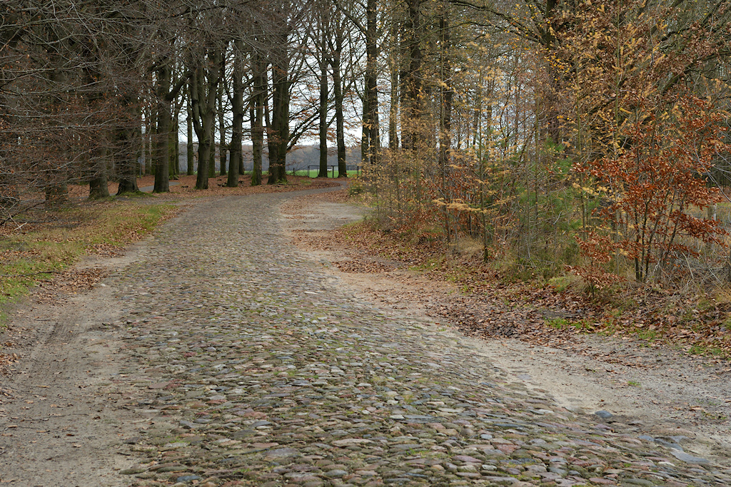 Met zwerfstenen bestrate weg in Drenthe